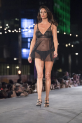 DSC_3551