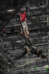 3EF23967-E6FE-4A83-B1E3-272538E97600